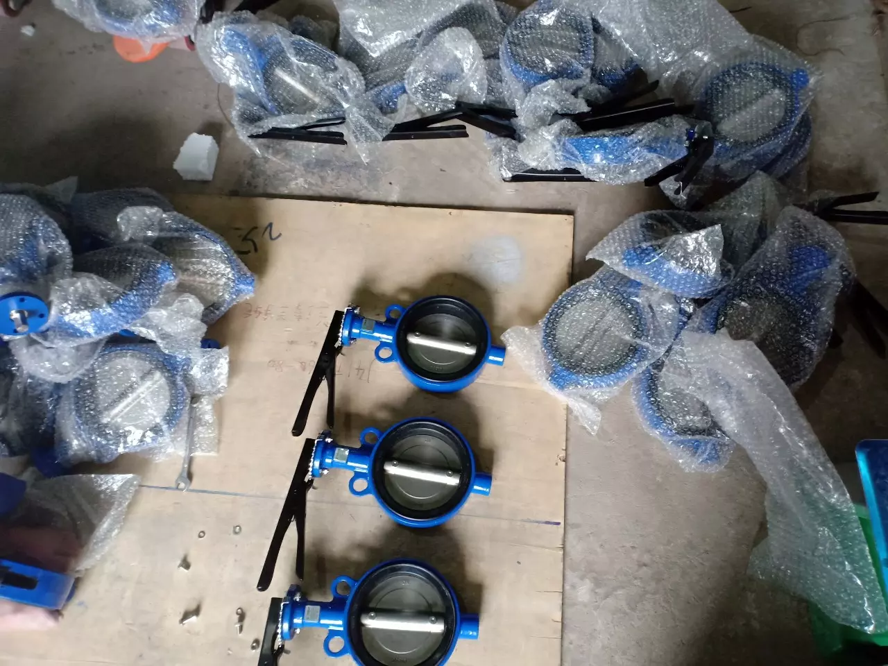 van bướm Đài Loan