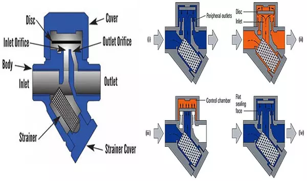bay_hoi_dong_tien_vinabluetech_vn nguyên lý hoạt động bẫy hơi đồng tiền lắp ren