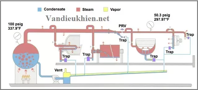 cách lắp đặt bẫy hơi đồng tiền tung lung