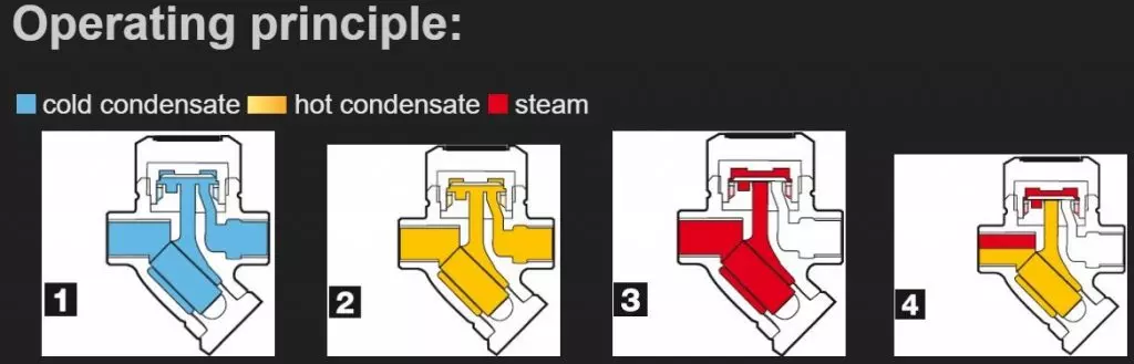 cachhoatdongbayhoidiadongtienyoshitake1024x329 Nguyên lí hoạt động của bẫy hơi đồng tiền