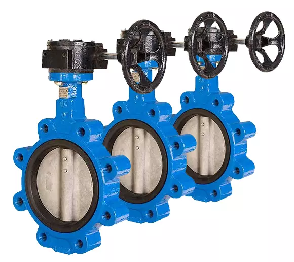 Van bướm tai bích