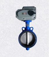 Van bướm điều khiển điện Đài Loan