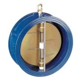 Van một chiều cánh bướm Trung Quốc