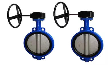 van_buom_kvs3 Van bướm KVS