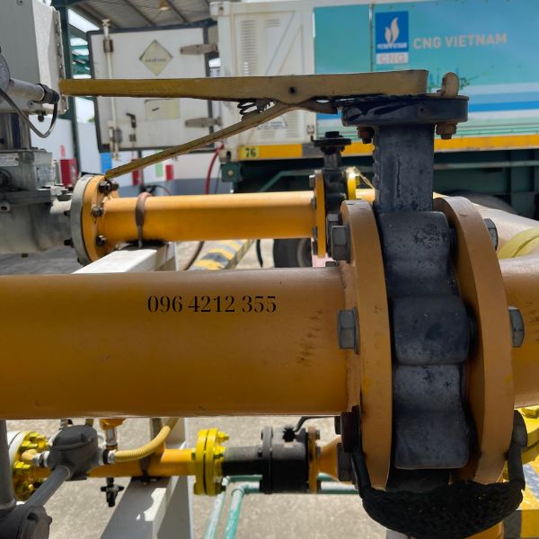 van bướm tai bích